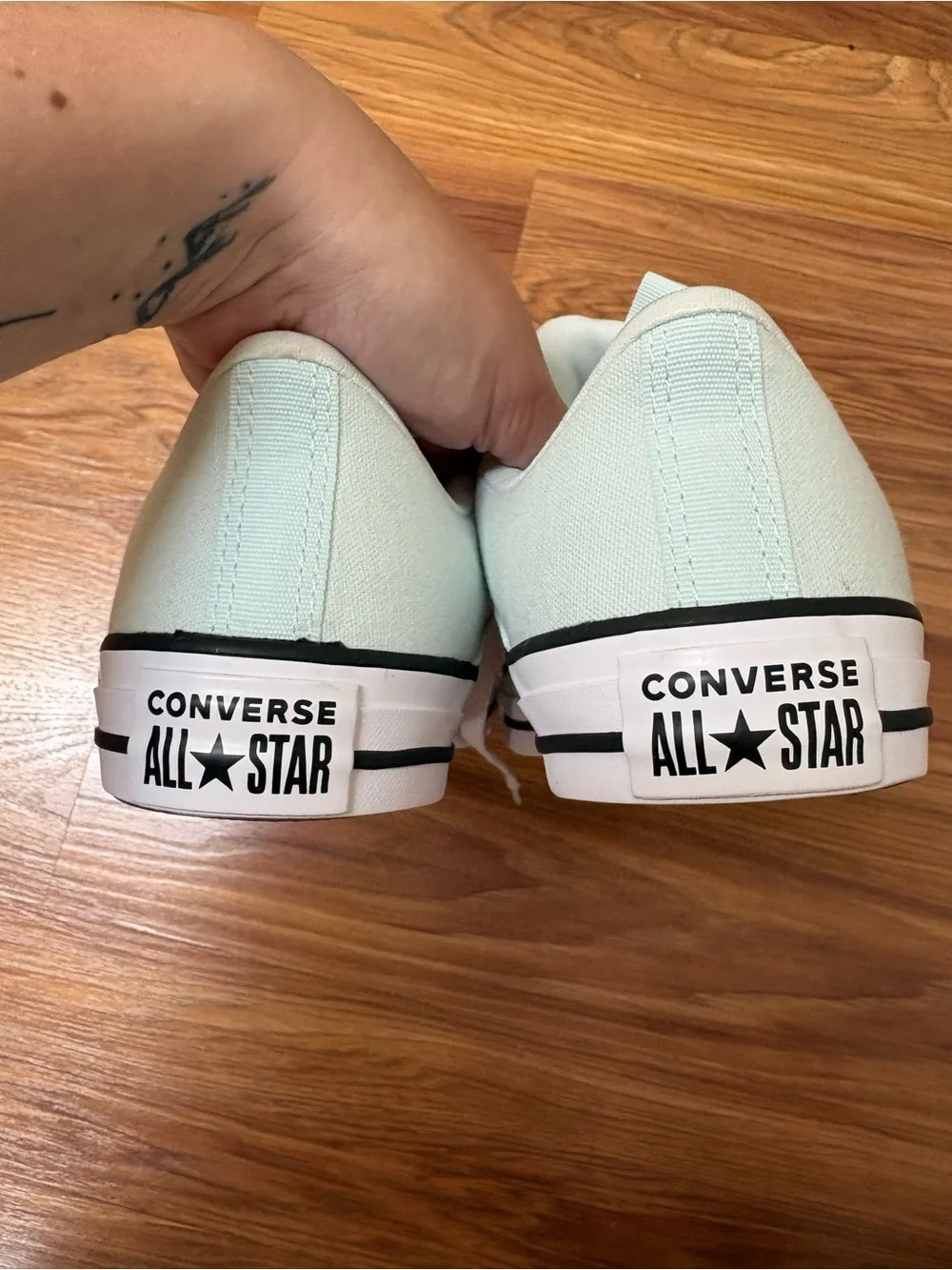 Converse Chuck Taylor All Star Low Top Sneakers in Mint Green and White